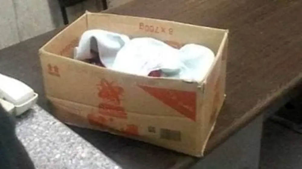 جريدة البلاد صور لن تمر في تونس.. جثث رضع في علب كرتونية